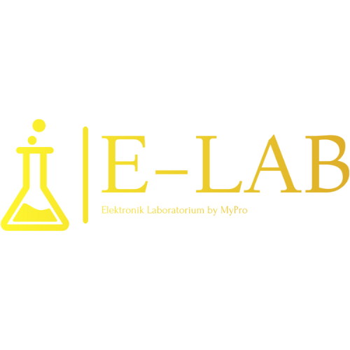 Electronic Laboratory